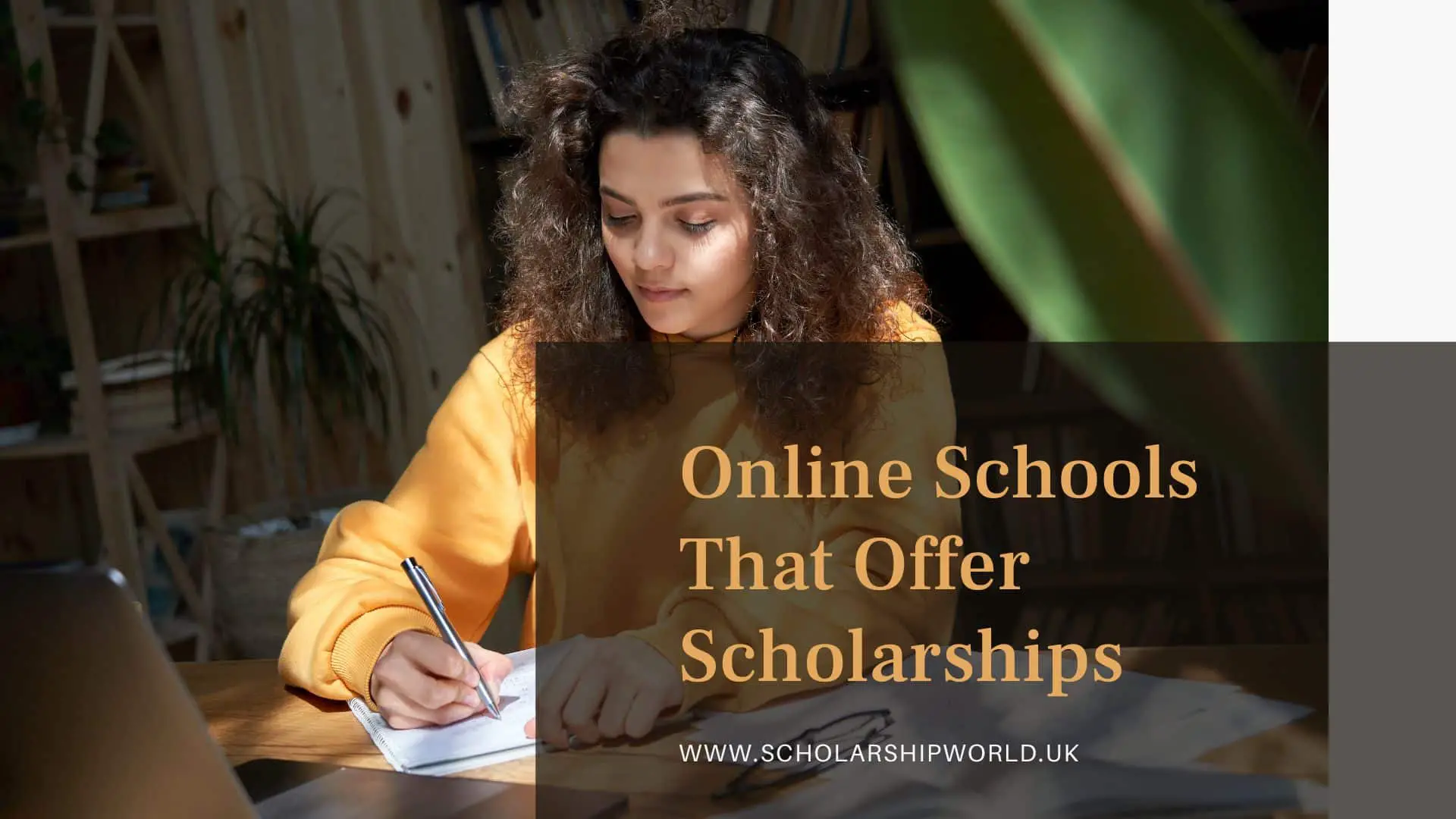 APPLY NOW: Online Schools That Offer Scholarships In 2022