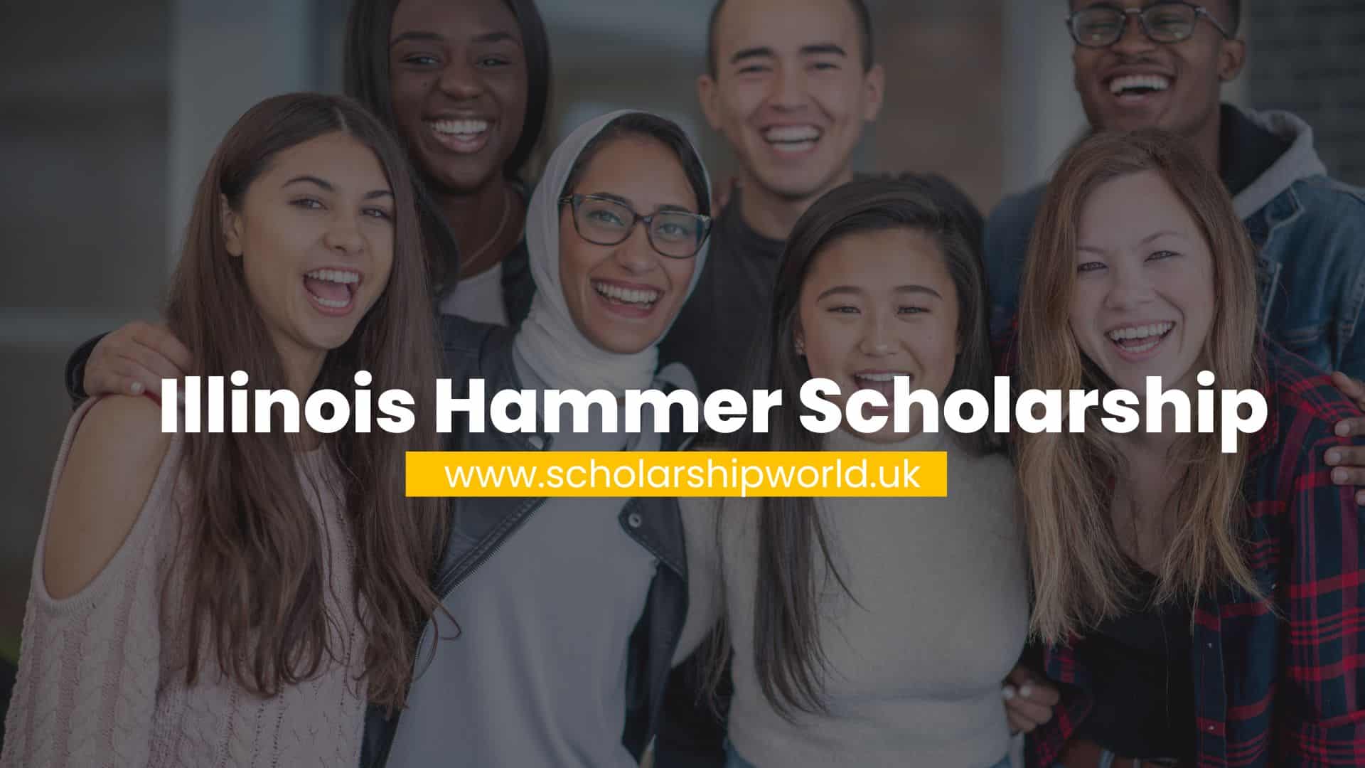 Illinois Hammer Scholarship