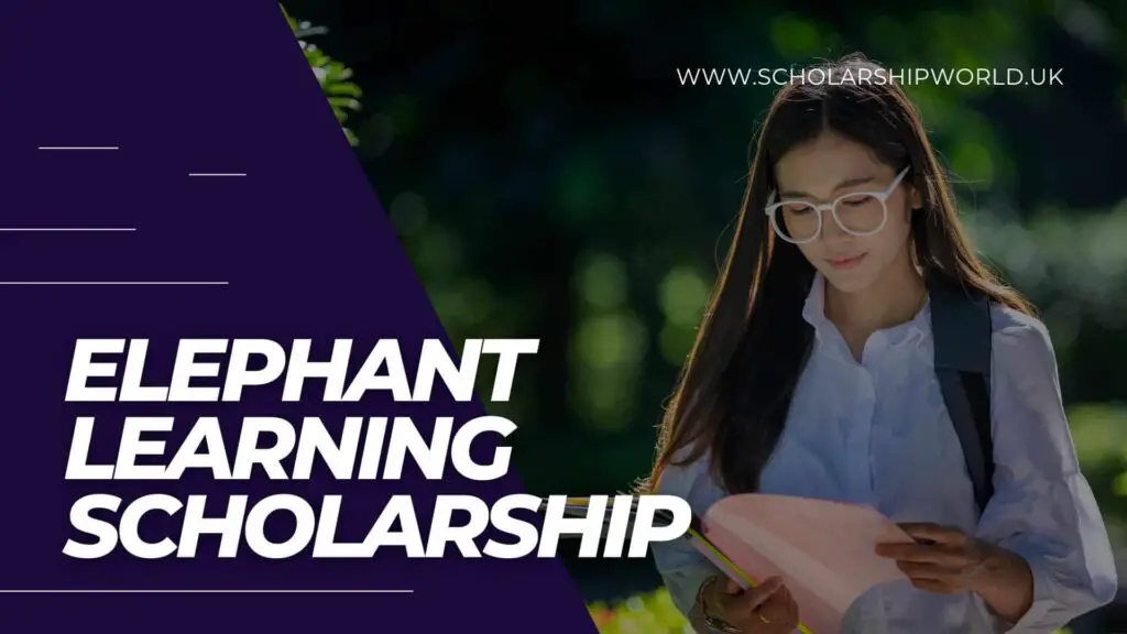 Elephant Learning Scholarship